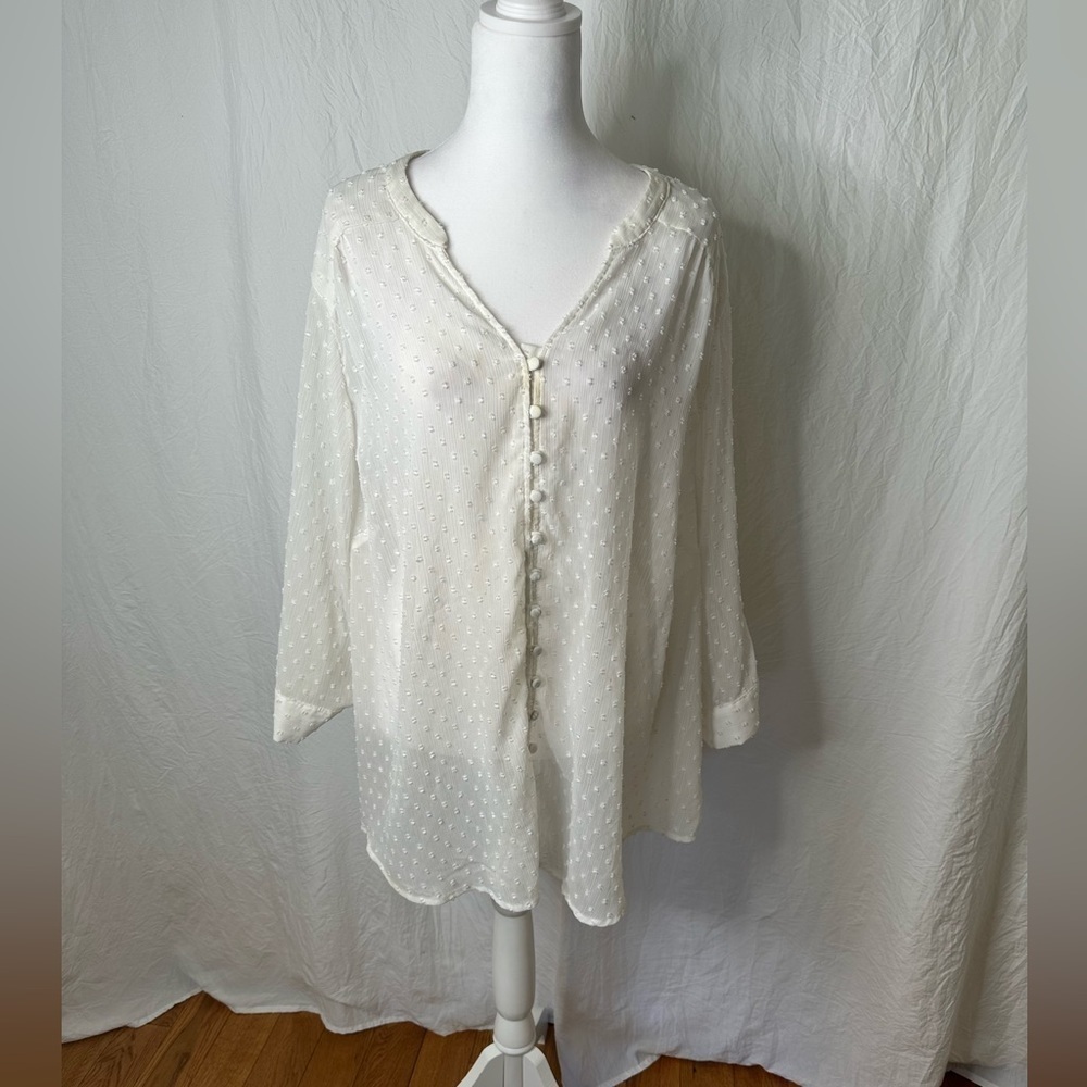 Torrid White Sheer Long Sleeve V Neck Texture Blouse